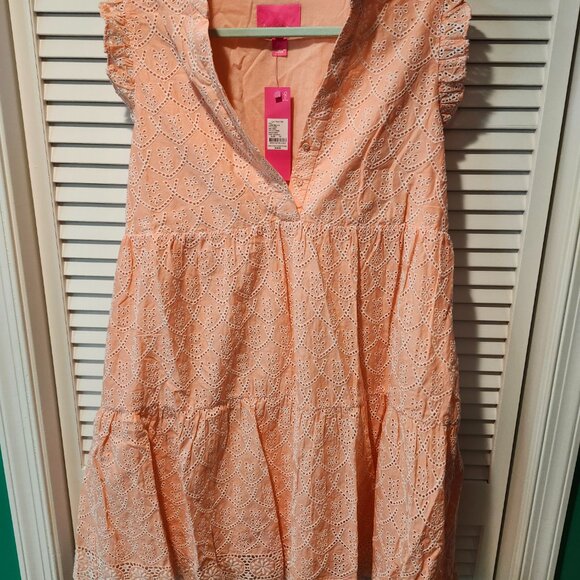 Lilly Pulitzer Briela Eyelet Swing Dress NWT - Picture 2 of 4